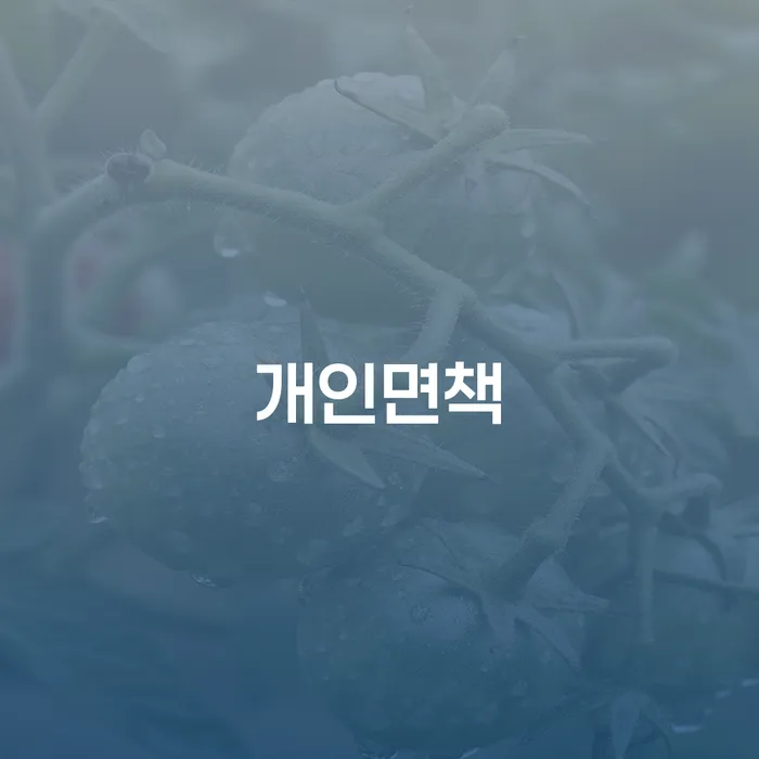 개인프리워크아웃 개인파산 가장 먼저 확인할 점