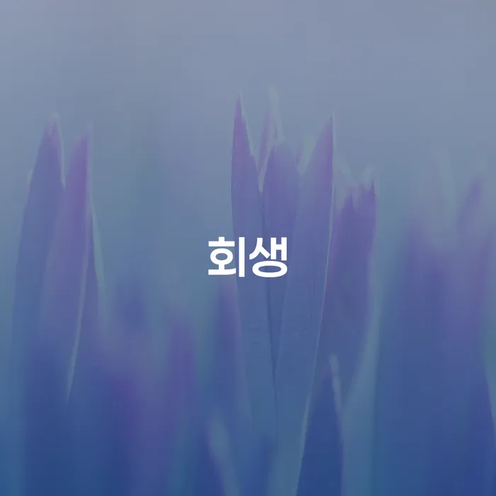 도산전문변호사 채무 효과적인 해결방법 해결하고 싶다면