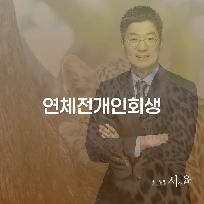 보은군 대출갚는법 개인회생으로 해결방법 선택을 어떻게..