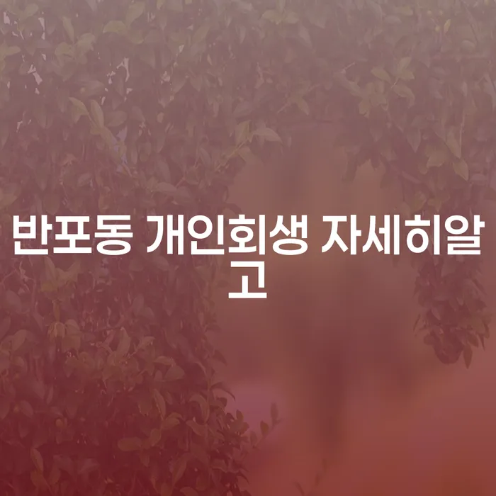 반포동 개인회생 자세히알고