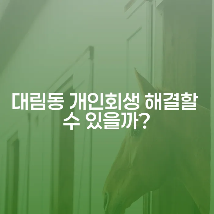 대림동 개인회생 해결할 수 있을까?