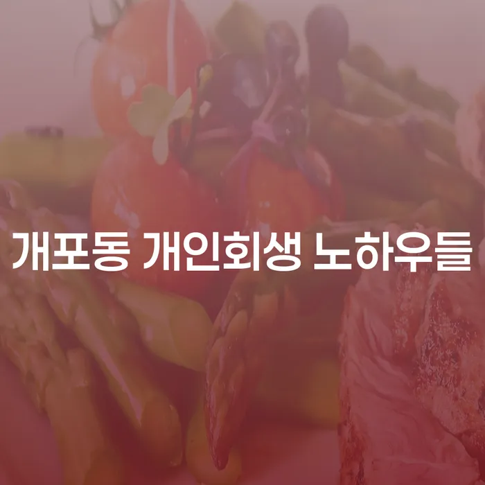 개포동 개인회생 노하우들