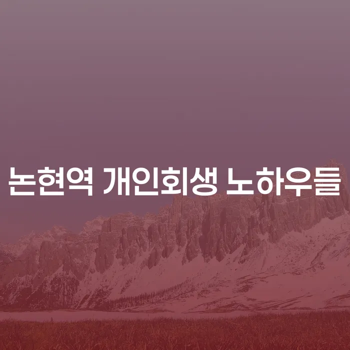 논현역 개인회생 노하우들