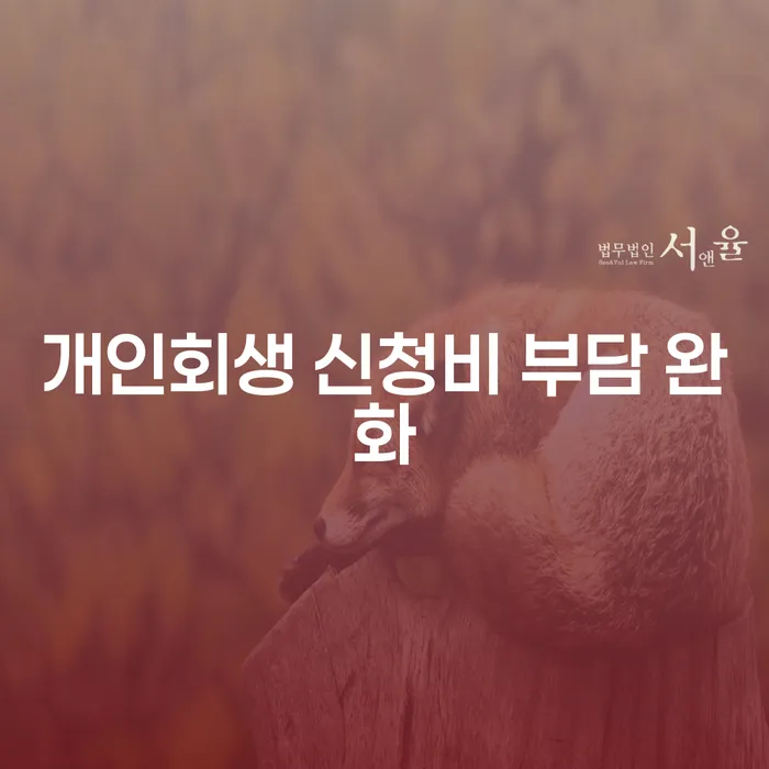 개인회생 신청비 부담 완화가 가능한 방법은 무엇일까요?