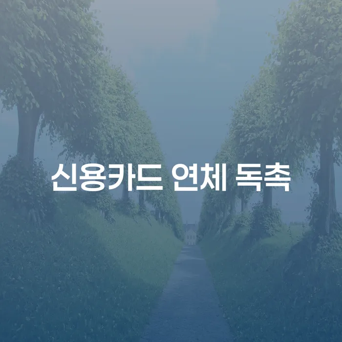 신용카드 연체 독촉, 어떻게 해결할 수 있을까요?