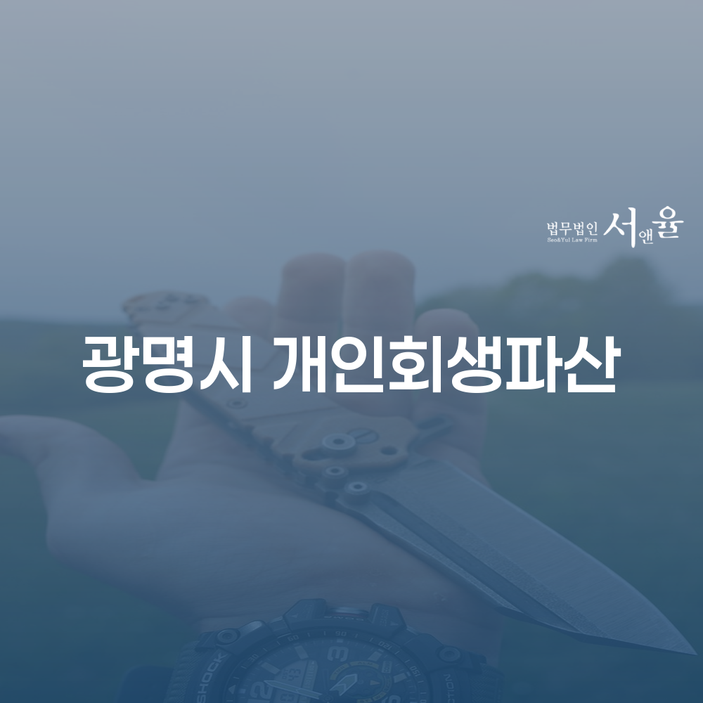 광명시 개인회생과 개인파산의 차이를 이해하고 성공적으로 절차를 진행하기
