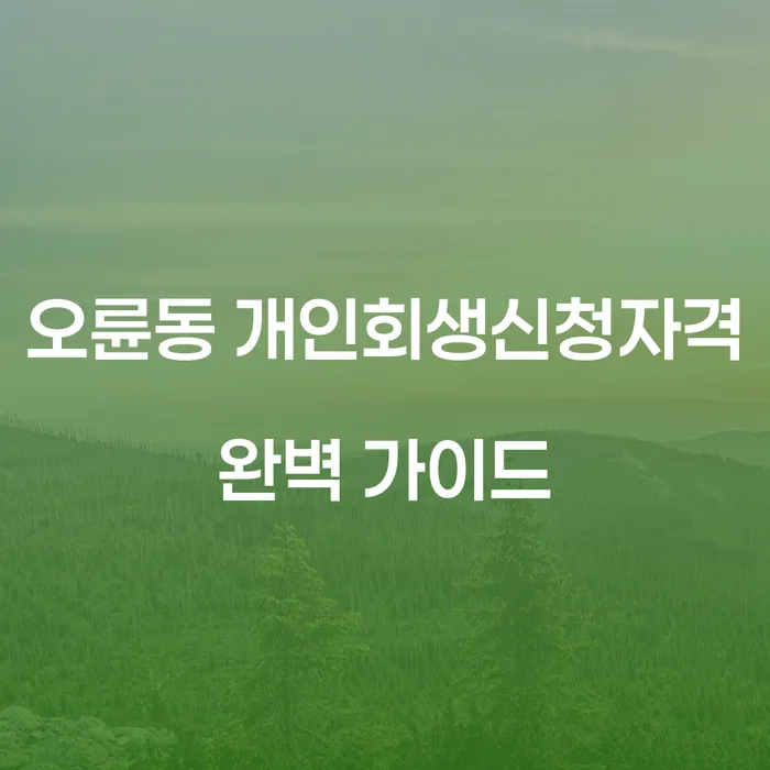 오륜동 개인회생신청자격 완벽 가이드