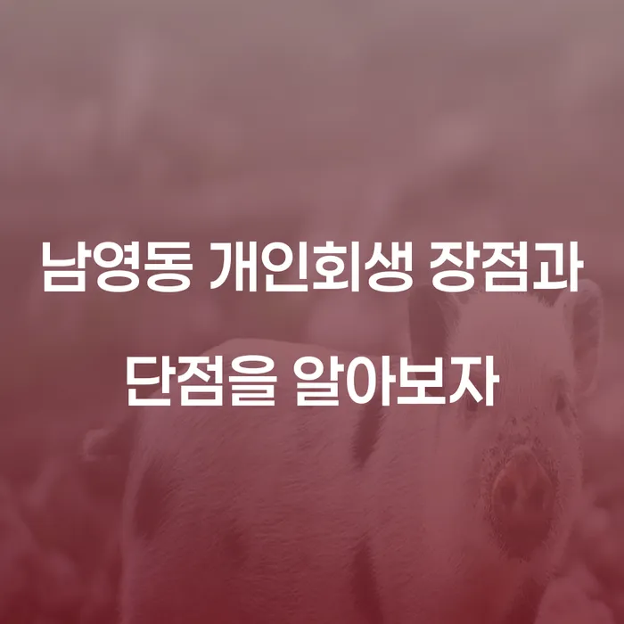남영동 개인회생 장점과 단점을 알아보자