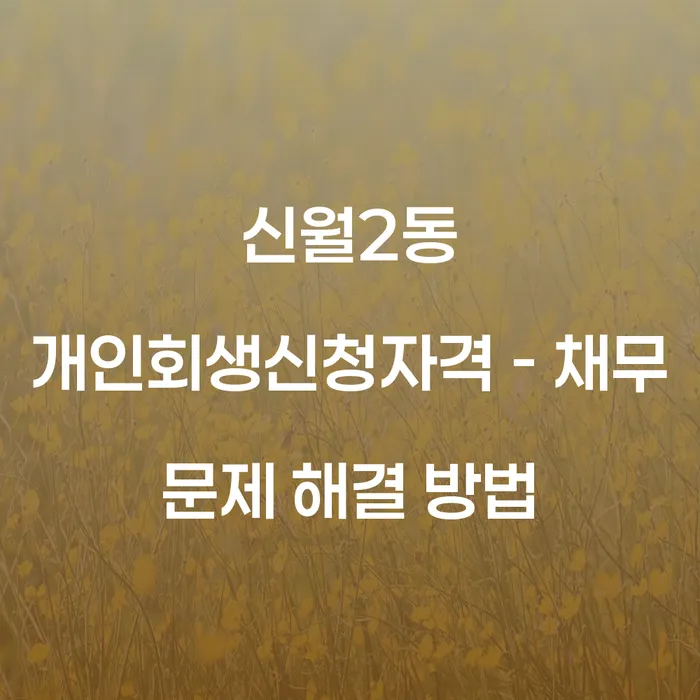 신월2동 개인회생신청자격 - 채무 문제 해결 방법