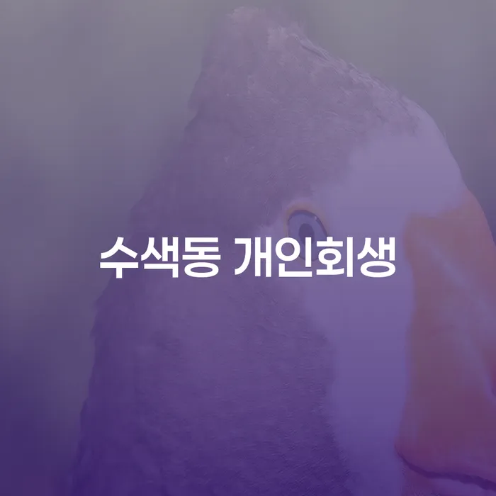 수색동 개인회생, 당신에게 필요한 구체적인 해결책은?