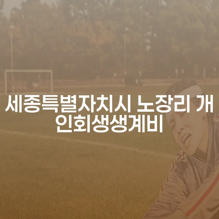 세종특별자치시 노장리에서 개인회생 생계비를 통해 주부들이 희망을 찾을 수 있을까요?