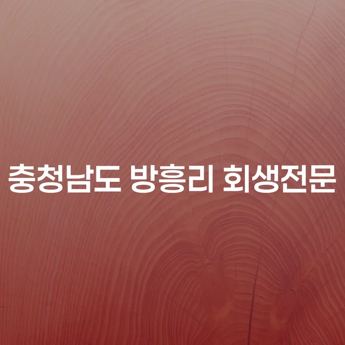 왜 많은 사람들이 충청남도 방흥리 회생전문 변호사를 찾고 있을까요?