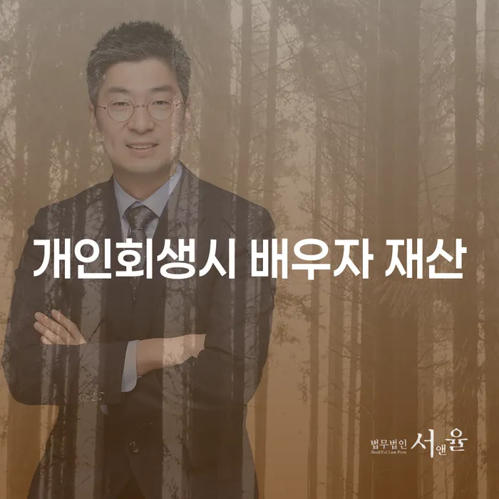 개인회생 시 배우자 재산, 어떻게 처리될까요?